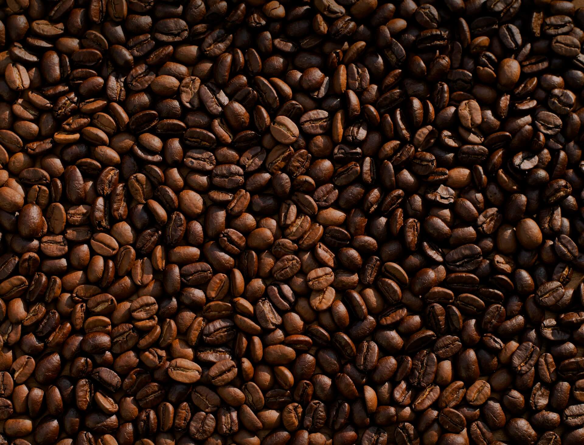 Interior Kopi Senja